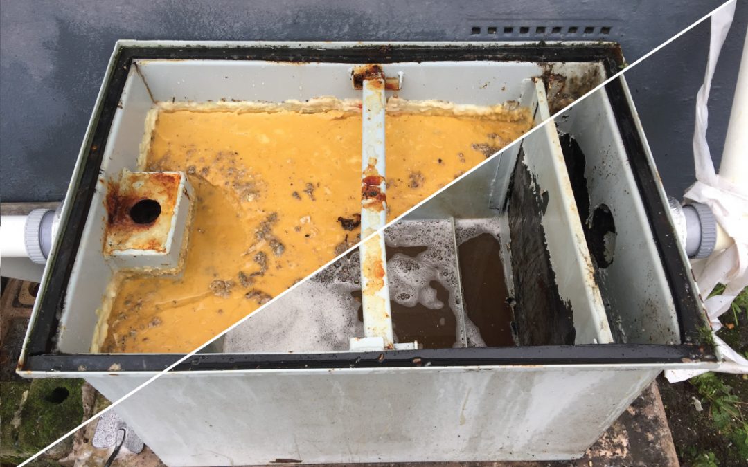 Grease Trap Cleaning and Disinfection Service
